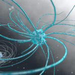 Synapse 3D