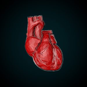 Heart 3D Polygon