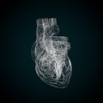 Heart 3D Wireframe